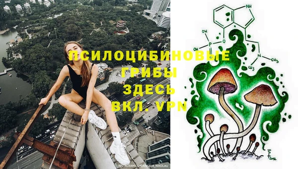 мет Аркадак