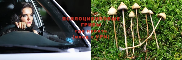 мет Аркадак