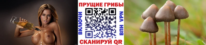 Псилоцибиновые грибы прущие грибы  наркота  OMG маркетплейс  Дыгулыбгей 
