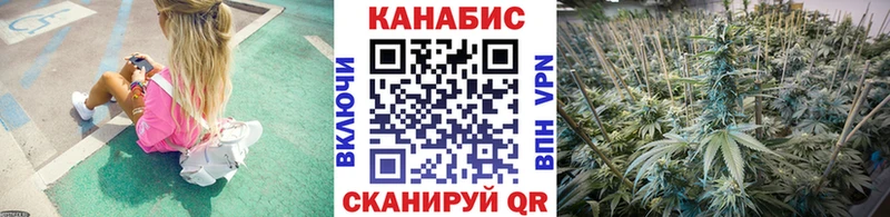 Каннабис план  Дыгулыбгей 
